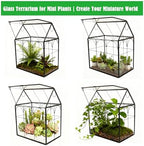 ELEGANTLIFE Glass Geometric Plant Terrarium,Succulent & Air Planter for Home Garden Office Decoration (Black House) - Image 3