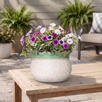 10 Inch Planter, Ceramic Indoor Plant Pots, White-Green - Image 7
