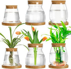 6 Pcs Glass Plant Propagation Station with Wood Lid & Stand, Novel Style by Beeveer