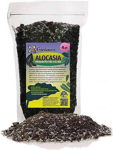 Gardenera Premium Alocasia Plant Potting Mix - Elevate Your Space with Striking Foliage and Distinctive Beauty - 4 Quart by Gardenera