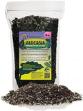 Gardenera Premium Alocasia Plant Potting Mix - Elevate Your Space with Striking Foliage and Distinctive Beauty - 4 Quart by Gardenera