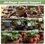 All-Natural Strawberry Soil & Potting Mix 10qt - Premium Potting Soil for All-Stage Strawberry Growth - Image 5