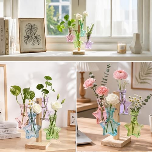 Nacome Plant Terrarium Propagation Stations: Colored Vase with Wooden Stand - Image 7
