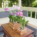 Set of 2 Wooden Orchid Baskets with Hangers, Hanging Vanda Baskets for Outside - Image 5
