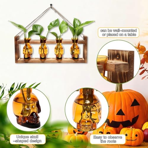 Plant Propagation Stations Halloween Skull Plant Terrarium Kit - Image 3