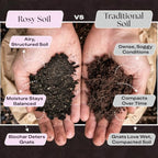 Rosy Soil Aroid Soil Mix, Chunky Biochar Potting Mix, 4 Quarts, Pack of 2 - Image 3