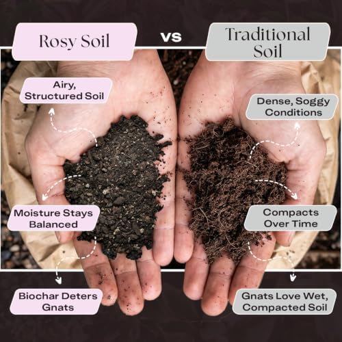 Rosy Soil Aroid Soil Mix, Chunky Biochar Potting Mix, 4 Quarts, Pack of 2 - Image 3