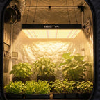 DC2000 Grow Light for Indoor Plants, Dimmable Full Spectrum LED Plant Light - Image 7