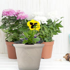 Vintage Textured Resin Flower Pot Outdoor Planter with Unique Roman Pattern Decorative Balcony Plant Container for Indoor and Outdoor Use Easy Maintenance - Image 6