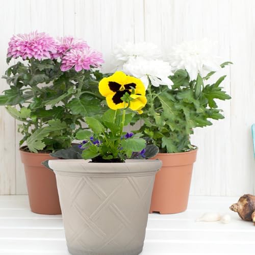 Vintage Textured Resin Flower Pot Outdoor Planter with Unique Roman Pattern Decorative Balcony Plant Container for Indoor and Outdoor Use Easy Maintenance - Image 6
