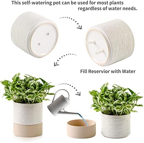 Nihow Ceramic Self Watering Plant Pot for Indoor Plants, 6 Inch,Cream White - Image 3