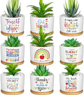 Domensi 9 Pcs Teacher Appreciation Gifts Bulk Ceramic Succulent Plant Pot by Domensi