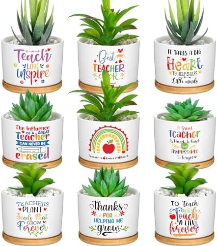 Domensi 9 Pcs Teacher Appreciation Gifts Bulk Ceramic Succulent Plant Pot by Domensi
