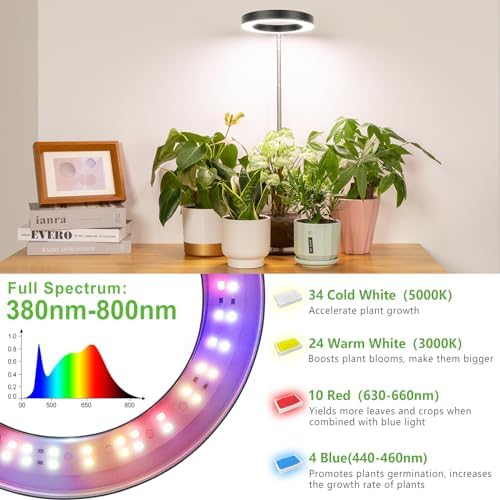 LORDEM Desk Grow Light, Full Spectrum LED for Indoor Plants, 2 Pack - Image 6