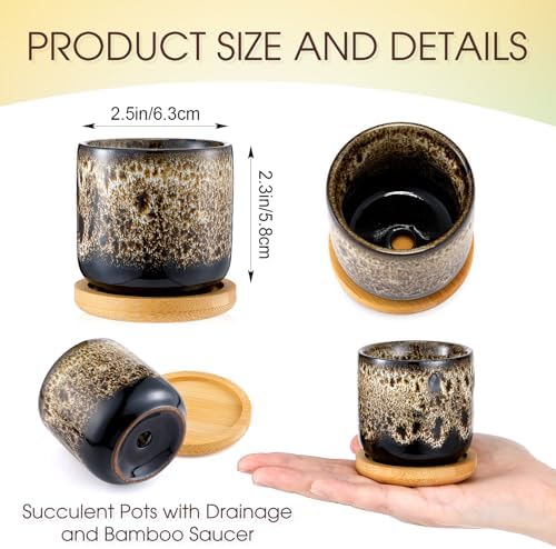 12 Pcs Succulent Pots 2.5 Inch Mini Ceramic Succulent Garden Flower Pots Planters with Drainage and Bamboo Tray for Indoor Garden Plants Planters Colorful Flower Pot(Cylindrical,2.3 Inch H) - Image 2