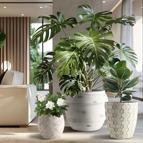Round Concrete Style Planter Set of 3, Large Outdoor Flower Pots with Drainage, Stone Texture Plant Pots for Indoor Outdoor Garden, Patio & Balcony Décor (3, Stone White) - Image 5