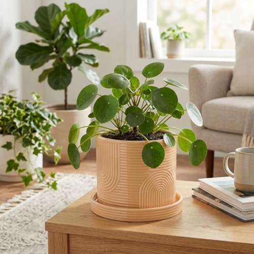 6 Inch Ceramic Plant Pot with Drainage Hole & Tray – Buttercream - Image 2