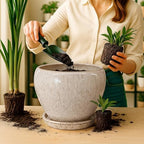 Deep Dream 10 Inch Plant Pot- Ceramic Planter Pot Round Plant Pots for Indoor Plants Outdoor Large Flower Pot with Drainage Holes & Trays, Beige - Image 5