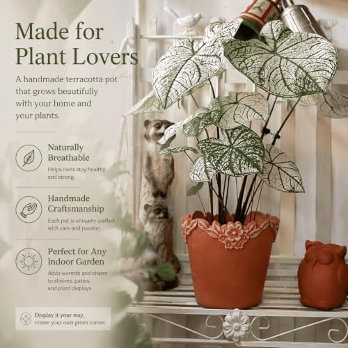 8 Inch Terracotta Plant Pots with Floral Rim and Saucer - Image 7