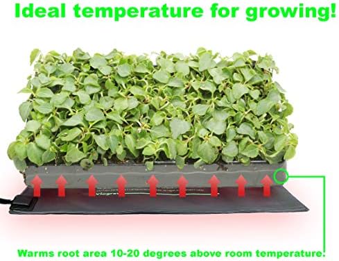 Viagrow Propagation Kits (4 Pack, Propagation Kit w/Heat Mat) - Image 4