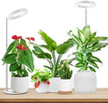 Aokrean 6.3in Grow Lights for Indoor Plants, Full Spectrum with Metal Base by Aokrean