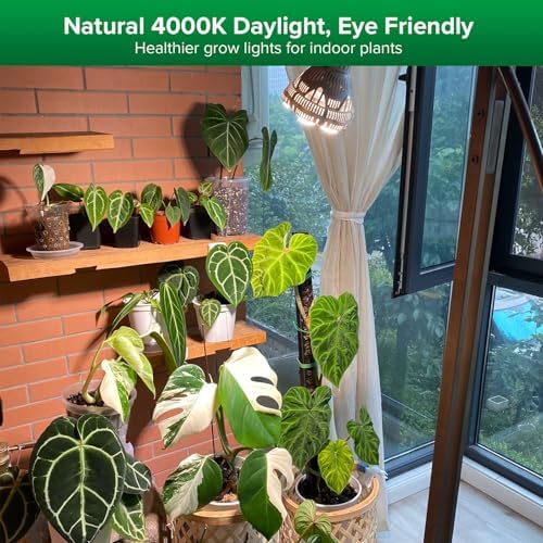 SANSI Grow Light Bulbs for Indoor Plants, 24W Full Spectrum 4000K Daylight - Image 2