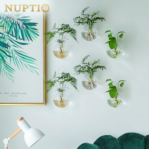 NUPTIO Glass Wall Hanging Planters: Clear Terrarium for Living Room, 12 Pcs - Image 2