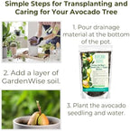 GARDENWISE Avocado Tree Soil – Premium Organic Potting Mix for Avocado Trees | Tailored pH & Organic Nutrients | Fast-Draining & Moisture-Retaining | Indoor & Outdoor Use (5 QUARTS) - Image 3