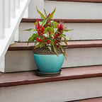 Southern Patio Cadiz Round Crackled Ceramic Plant Pot, Teal, 8 in, 3-Pack - Image 7