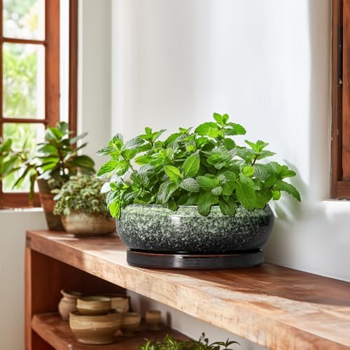 Bonsai Pots 10 Inch - Ceramic Pots for Plants Indoor Outdoor, Succulent Pot with Drainage Hole and Saucer, Large Bonsai Planter, Round Shallow Planter, Office Decor, Gardening Gift, Green - Image 6