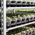 homenote 4 Pack 20 Cell Seed Starting Trays with 4 Vented Humidity Domes - Image 3