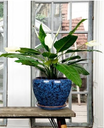 Hollyone 9+7 Inch Ceramic Planter Set of 2 Blue Ceramic Plant Pot for Plants Flowers with Drainage Hole and Saucers Ceramic Glaze Round Plant Pot Indoor Outdoor Large Succulent Orchid Flower Pot - Image 5