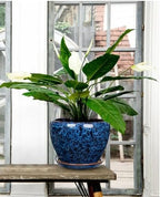 Hollyone 9inch Ceramic Planter Blue Ceramic Plant Pot for Plants Flowers with Drainage Hole and Saucers Ceramic Glaze Round Flower Plant Pot for Indoor Outdoor Large Round Succulent Orchid Flower Pot - Image 4