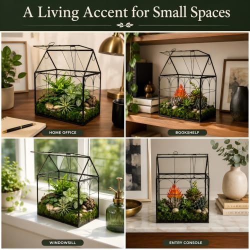 Large Tall Plant Greenhouse Terrarium Glass with Lid, 8.7"X5.9"X10.6" Inches Indoor Tabletop Orchid Succulent Cacti Terrarium Kit NA (House Black A) - Image 4