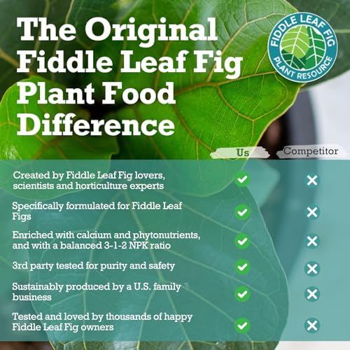 Fiddle Leaf Fig Propagation Bundle - Image 5