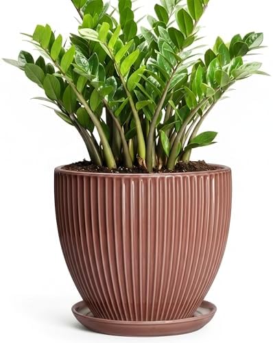 10 Inch Planter, Ceramic Flower Pot with Saucer, Rust Red by Wliror