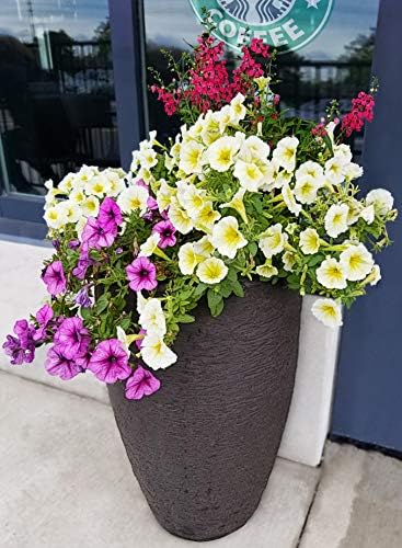 Algreen Products Athena Self-Watering Planter, Medium, 15" DIA x 24.5" H, Brownstone - Image 4