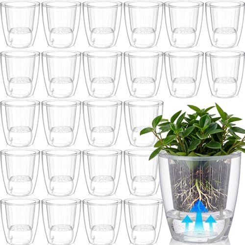 Self Watering Plant Pots, 5.1'', Transparent, 24 Pcs by Ferrochef