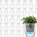 Self Watering Plant Pots, 5.1'', Transparent, 24 Pcs by Ferrochef
