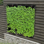 Self-Watering Wall-Mounted Planter Vertical Wall Planter with 18 Pots Wall Mounted Plastic Plant Grow Pots Vertical Living Green Wall Wall Garden for Home (Black) - Image 4
