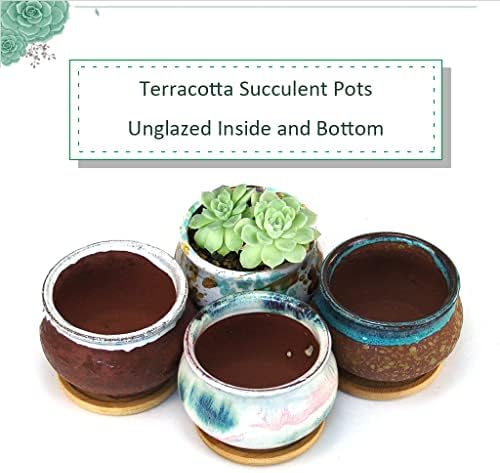 Succulent Pot 4 Inch Hand Glazed Plant Pot Round Ceramic Succulent Planter with Drainage and Saucer Cactus Clay Pot Set of 4 - Image 3