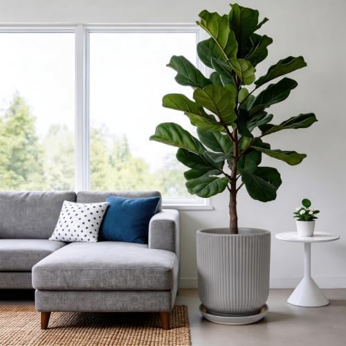 Deep Dream 12 Inch Ceramic Pots for Plants, Heavy Plant Pot for Indoor Outdoor Plants, Large Plant Pot with Drainage Hole and Saucer, Modern Tall Flower Pot, Gifts for Plant Lovers, Grey - Image 2
