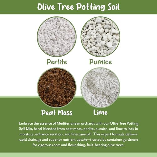 Soil Sunrise Olive Tree Potting Soil Mix (12 Quarts) for Planting, Repotting, and Growing Olive Bushes/Plants - Image 5