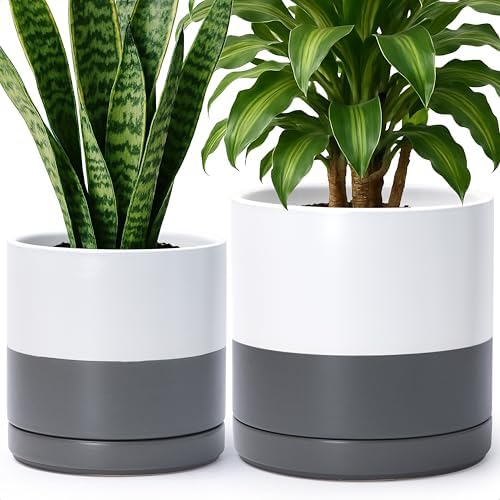 D'vine Dev 2-Pack Ceramic Pots with Saucers, 8/10 in, White/Grey, 94-G-L-6 by DvineDevPlanterPotsandStand