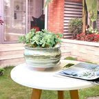 8 Inch Succulent Pot with Drainage and Saucer Glazed Terracotta Round Ceramic Succulent Planter Cactus Bonsai Plant Pot (Gream) - Image 4