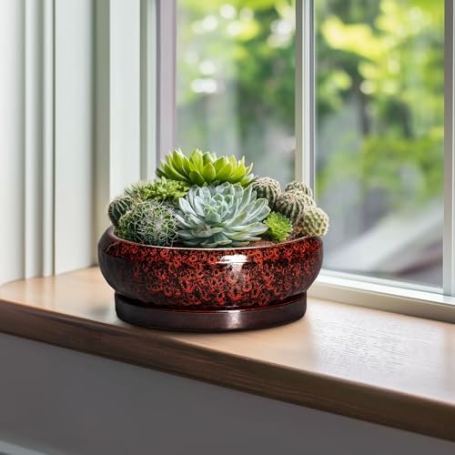 Bonsai Tree Pots - 10 Inch Ceramic Succulent Planters for Indoor Outdoor, Bonsai Pots with Drainage Hole and Saucer, Shallow Round Planter, Planter Bowl, Patio Decor, Gifts for Women, Red - Image 4