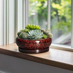 Bonsai Tree Pots - 10 Inch Ceramic Succulent Planters for Indoor Outdoor, Bonsai Pots with Drainage Hole and Saucer, Shallow Round Planter, Planter Bowl, Patio Decor, Gifts for Women, Red - Image 4