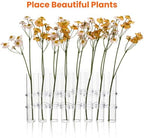 Hydroponic Glass Tube Vase 15x2.5cm 8pcs Set for Flower Arranging and Home Décor, Glass Floral Container for Water Plant Propagation - Image 3