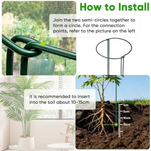 HiGift Peony Cages and Supports 24" H x 10" W, 8 Pack Tall Snake Plant Support Stake Half Round Metal Garden Stake for Indoor and Outdoor Plants, Flower Support Ring Border for Tomato,Hydrangea,Rose - Image 3
