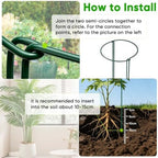 HiGift Peony Cages and Supports 24" H x 10" W, 8 Pack Tall Snake Plant Support Stake Half Round Metal Garden Stake for Indoor and Outdoor Plants, Flower Support Ring Border for Tomato,Hydrangea,Rose - Image 3